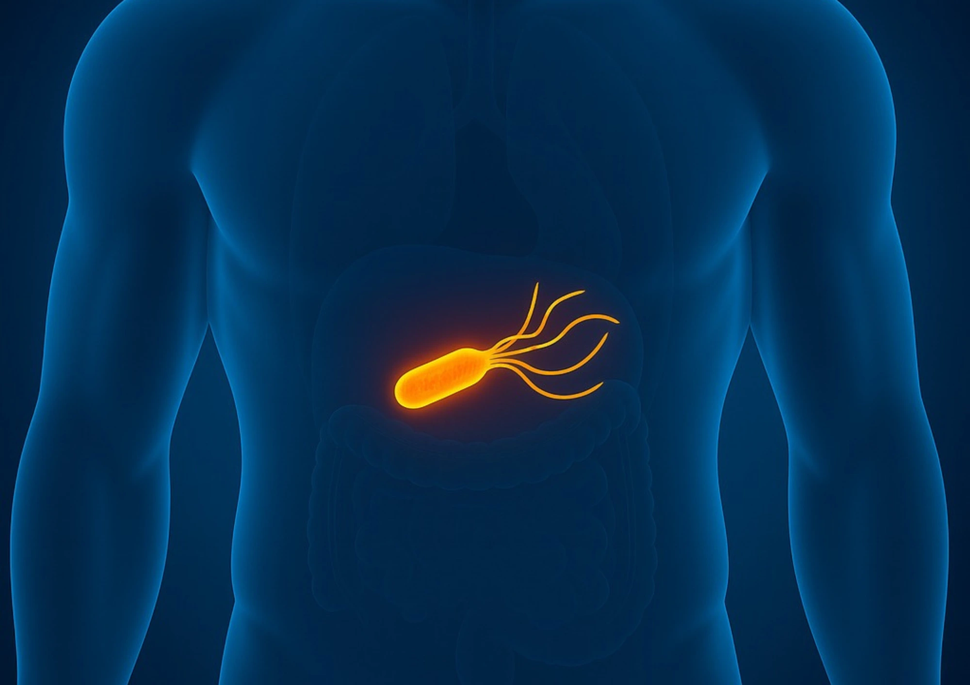 cabinet du dr marj-zohour haida - Maladies de helicobacter pylori à Béni Mellal