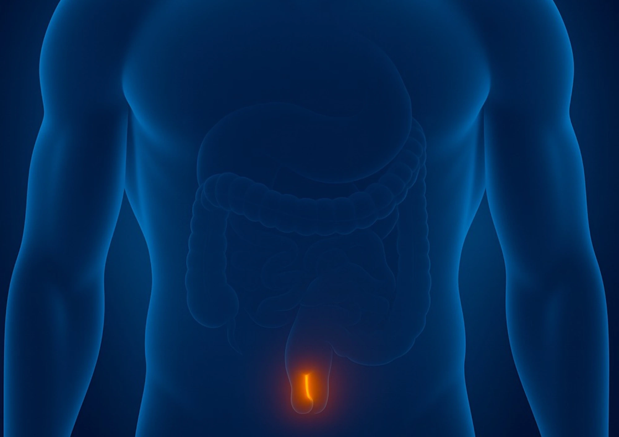 cabinet du dr marj-zohour haida - Maladies de hémorroïdes à Béni Mellal