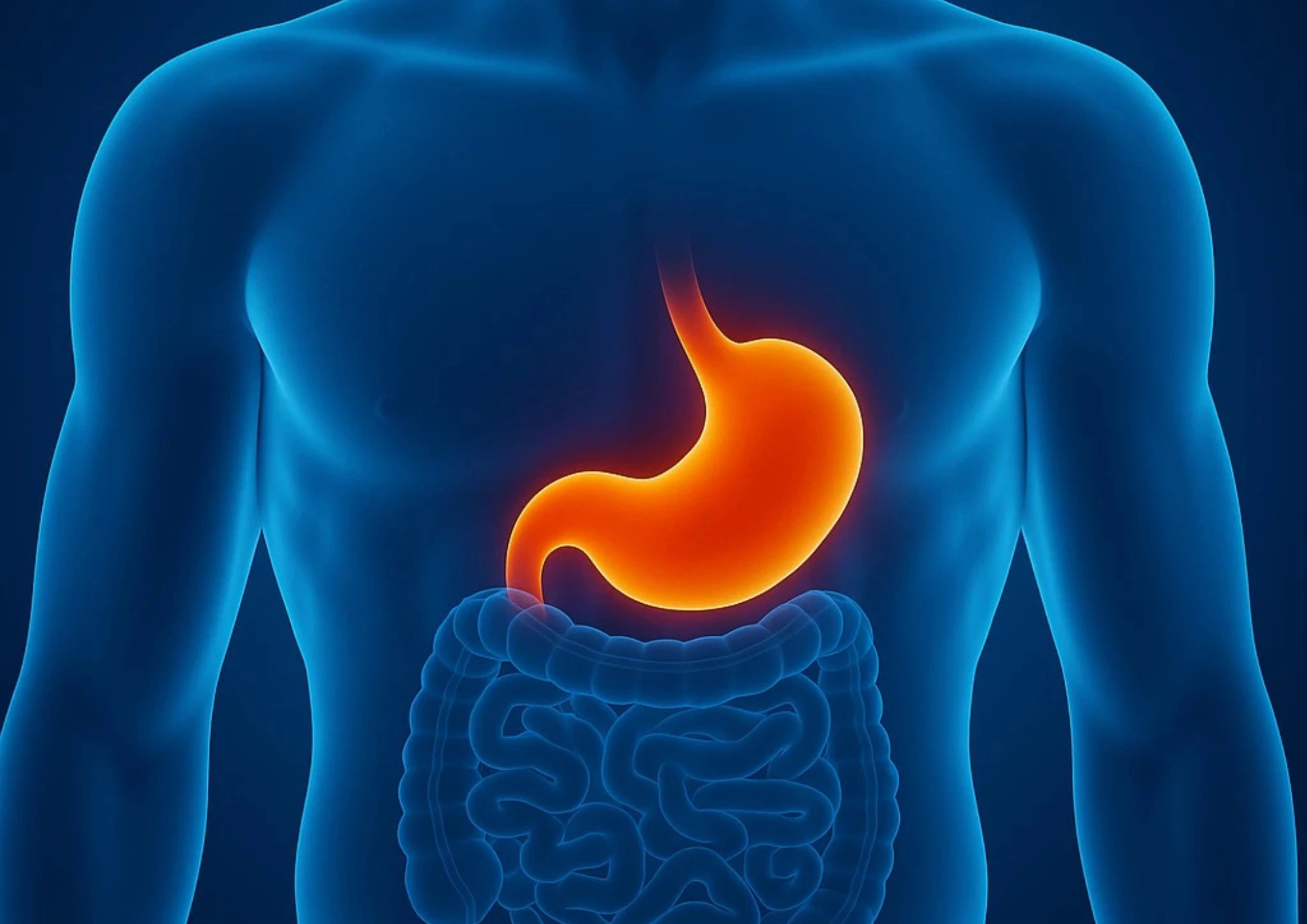 cabinet du dr marj-zohour haida - Maladies de l'estomac à Béni Mellal