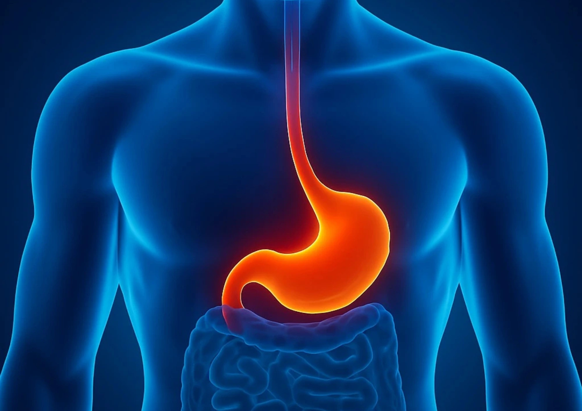 cabinet du dr marj-zohour haida - Maladies de l'oesophage à Béni Mellal