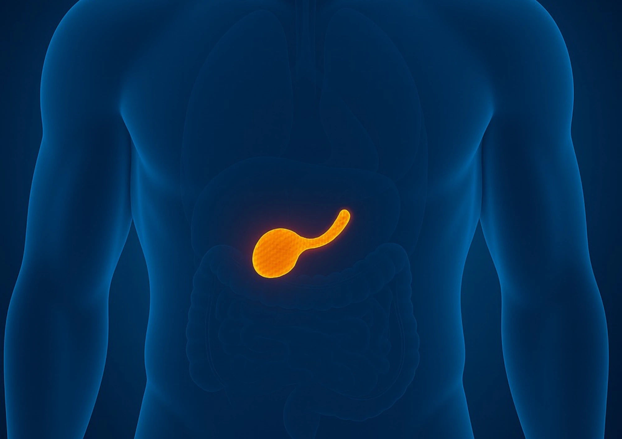 cabinet du dr marj-zohour haida - Maladies de vésicule biliaire à Béni Mellal