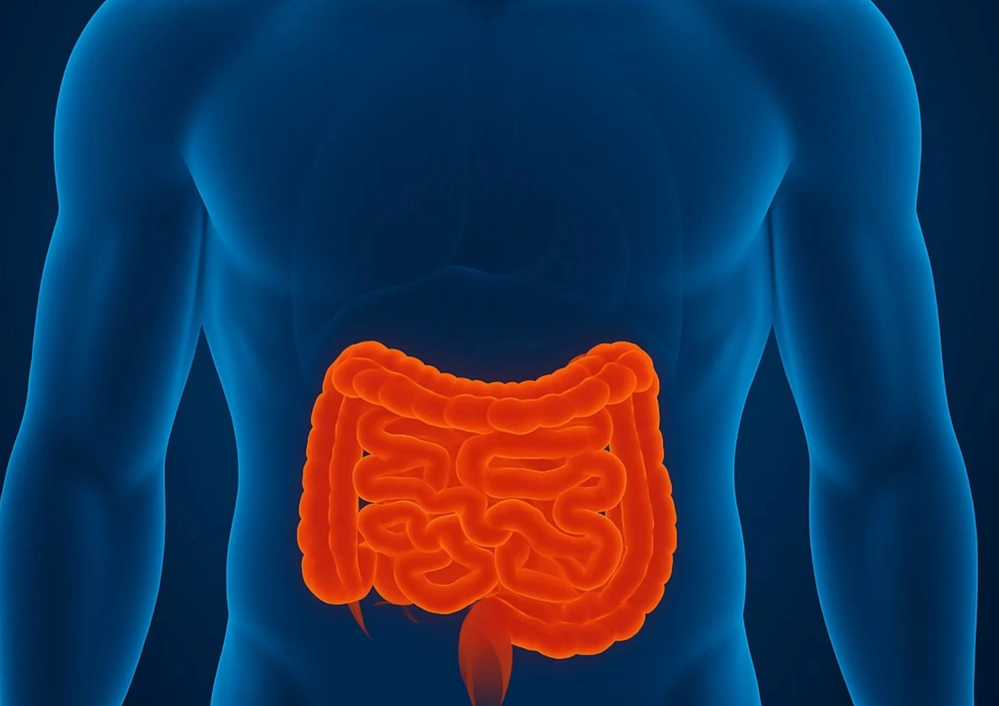 cabinet du dr marj-zohour haida - Maladies des intestins à Béni Mellal