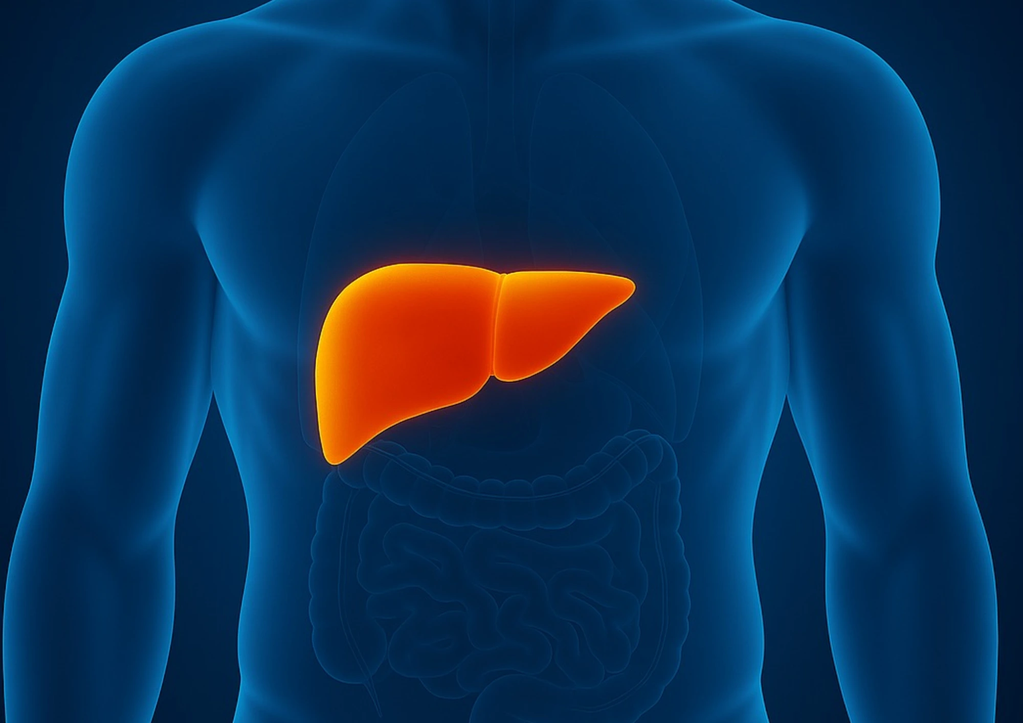 cabinet du dr marj-zohour haida - Maladies du foie à Béni Mellal