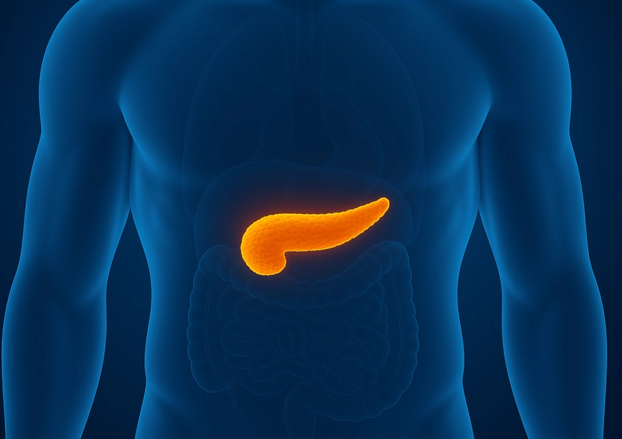 cabinet du dr marj-zohour haida - Maladies du pancréas à Béni Mellal